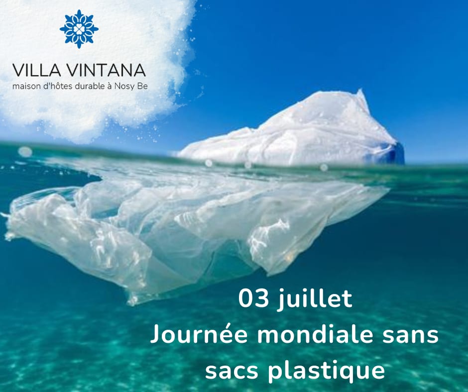 Read more about the article Journée Mondiale sans sacs plastique
