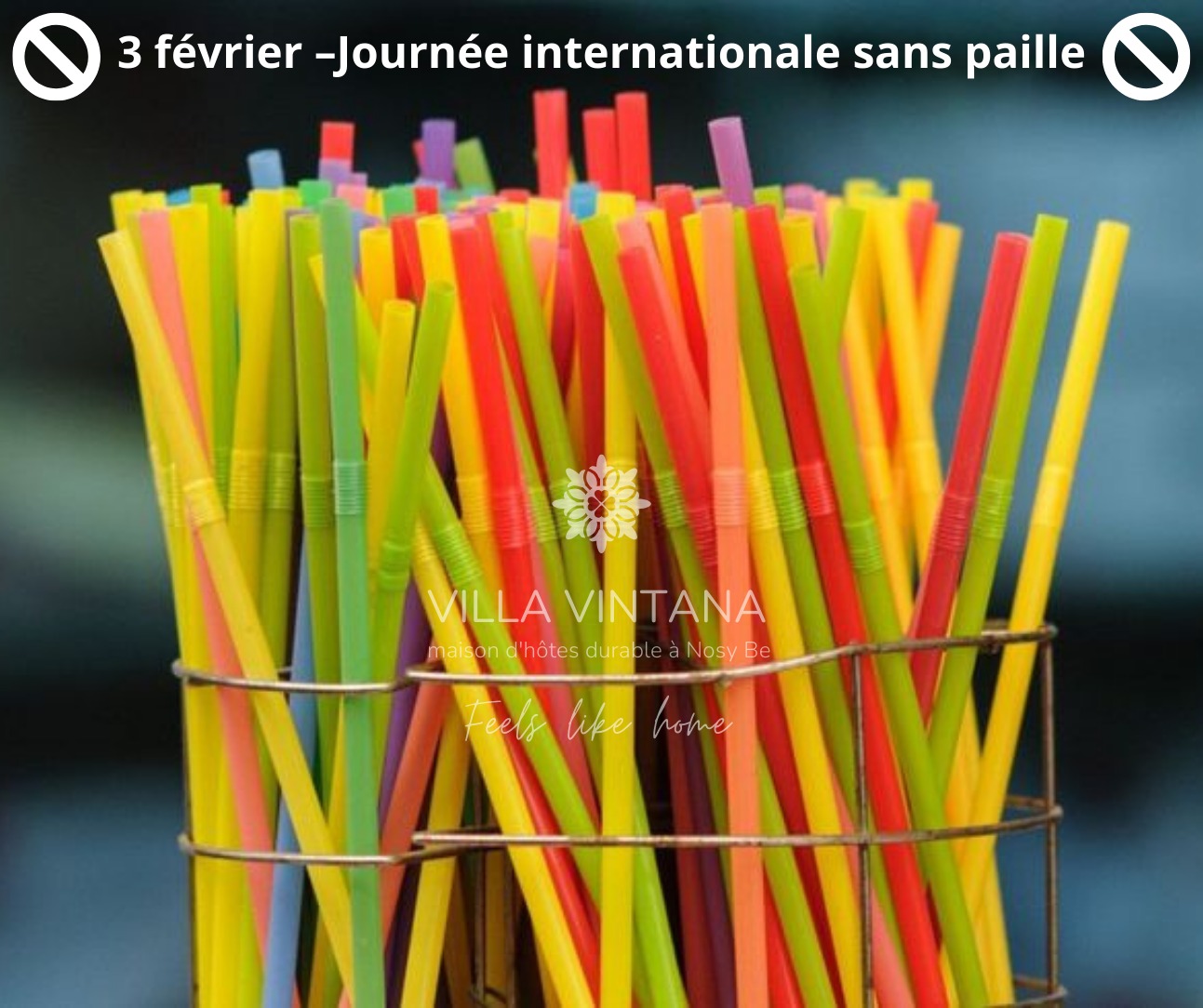 Lire la suite à propos de l’article 🌍 Célébrons la Journée Internationale sans paille (en plastique) en ce lundi 3 février 🌱