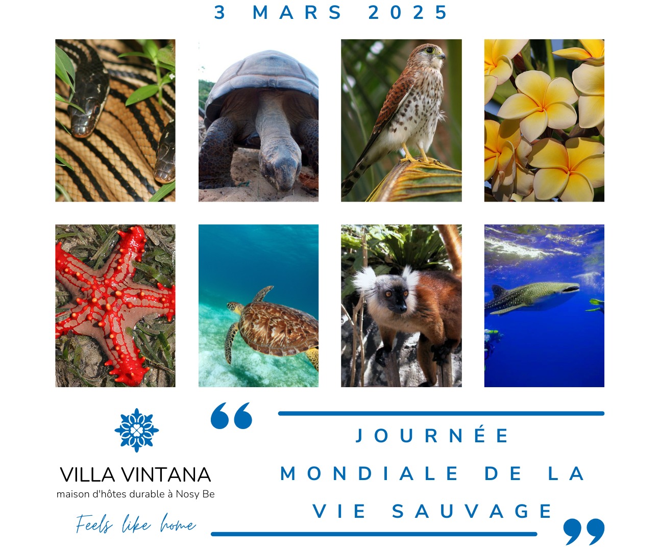 Read more about the article 03 Mars : Journée Mondiale de la Vie Sauvage